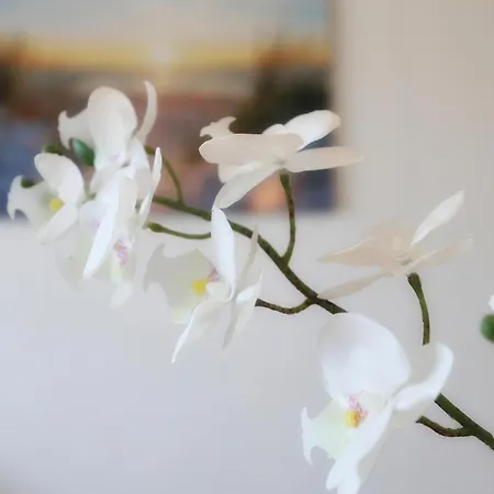 아파트 1 Bedroom Stunning In